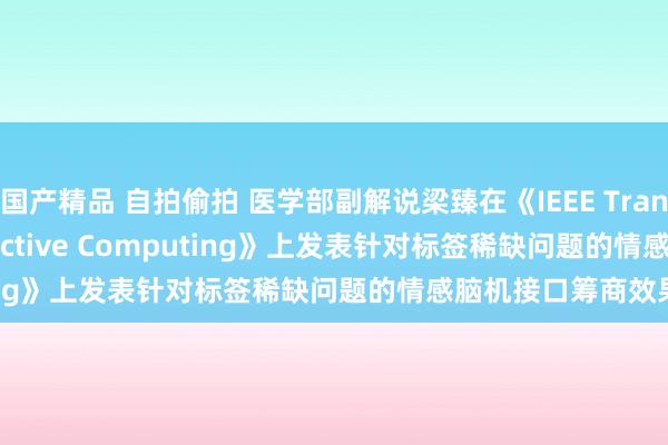 国产精品 自拍偷拍 医学部副解说梁臻在《IEEE Transactions on Affective Computing》上发表针对标签稀缺问题的情感脑机接口筹商效果