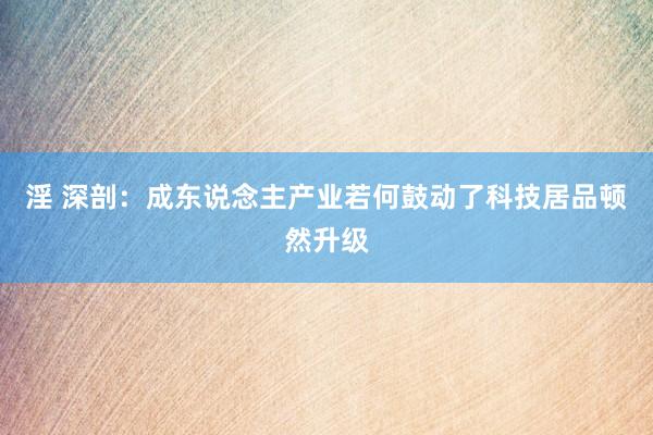 淫 深剖：成东说念主产业若何鼓动了科技居品顿然升级