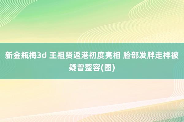 新金瓶梅3d 王祖贤返港初度亮相 脸部发胖走样被疑曾整容(图)