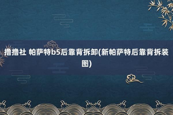 撸撸社 帕萨特b5后靠背拆卸(新帕萨特后靠背拆装图)