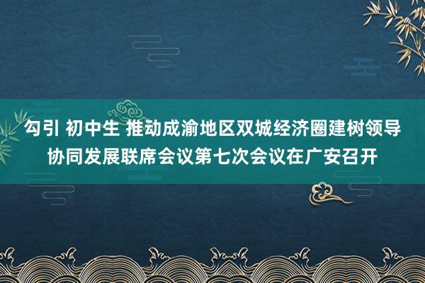 勾引 初中生 推动成渝地区双城经济圈建树领导协同发展联席会议第七次会议在广安召开