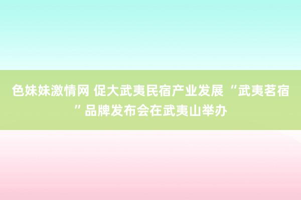 色妹妹激情网 促大武夷民宿产业发展 “武夷茗宿”品牌发布会在武夷山举办