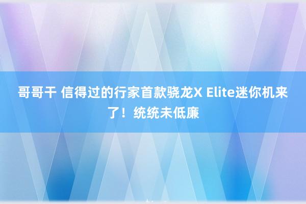 哥哥干 信得过的行家首款骁龙X Elite迷你机来了！统统未低廉