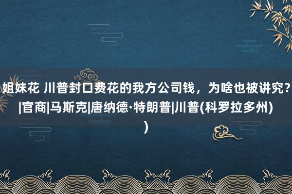 姐妹花 川普封口费花的我方公司钱，为啥也被讲究？|官商|马斯克|唐纳德·特朗普|川普(科罗拉多州)